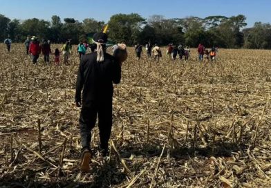 Fazendeiros armados perseguem e ferem indígenas avá-guarani