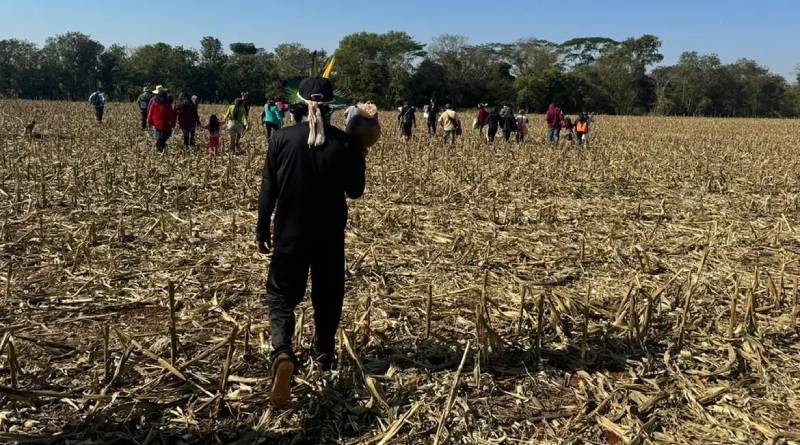 Fazendeiros armados perseguem e ferem indígenas avá-guarani